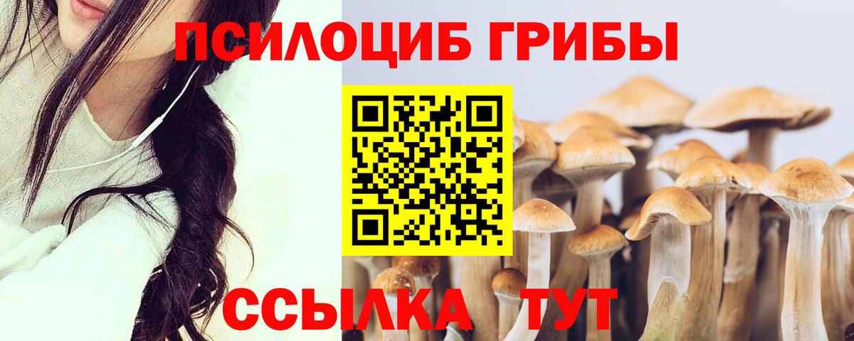 Галлюциногенные грибы мицелий Кострома